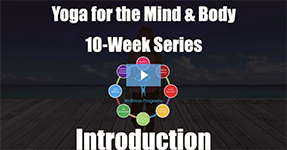 Walk to Wellness Highlights - video